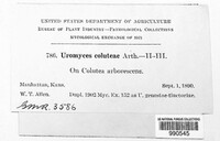 Image Associated With the Occurence